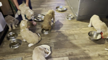 Feeding TEN babies.